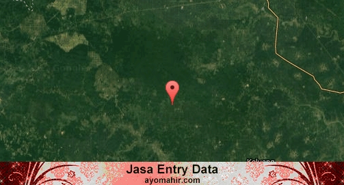Jasa Entry Data Excel Murah Musi Banyuasin