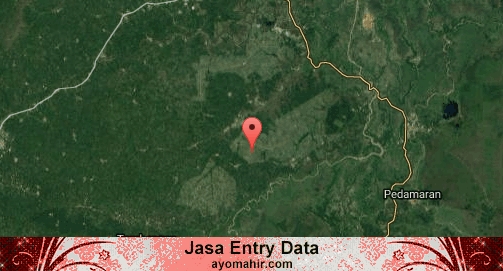 Jasa Entry Data Excel Murah Ogan Ilir