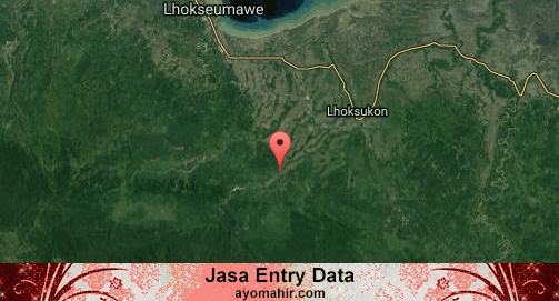 Jasa Entry Data Excel Murah Aceh Utara
