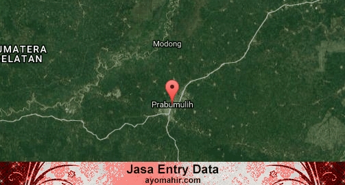 Jasa Entry Data Excel Murah Kota Prabumulih