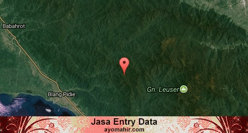 Jasa Entry Data Excel Murah Aceh Barat Daya