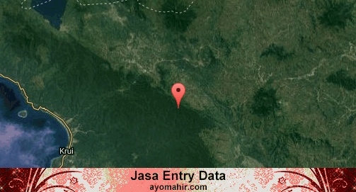 Jasa Entry Data Excel Murah Lampung Barat