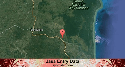 Jasa Entry Data Excel Murah Lampung Timur