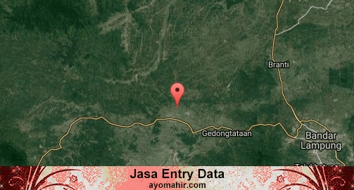 Jasa Entry Data Excel Murah Pringsewu