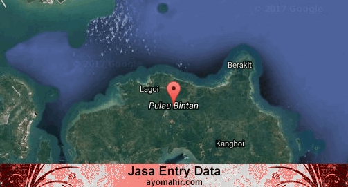 Jasa Entry Data Excel Murah Bintan