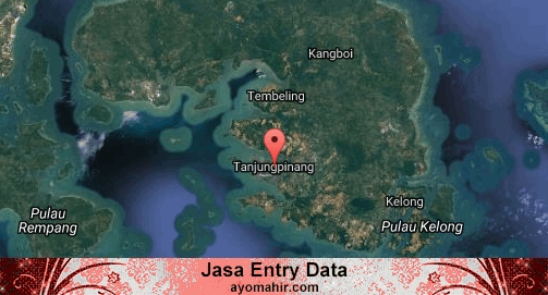 Jasa Entry Data Excel Murah Kota Tanjung Pinang