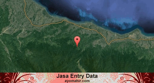 Jasa Entry Data Excel Murah Pidie Jaya