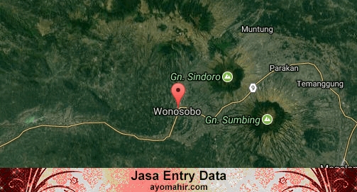 Jasa Entry Data Excel Murah Wonosobo