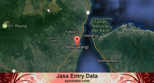 Jasa Entry Data Excel Murah Banyuwangi