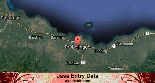 Jasa Entry Data Excel Murah Probolinggo