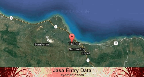Jasa Entry Data Excel Murah Tuban