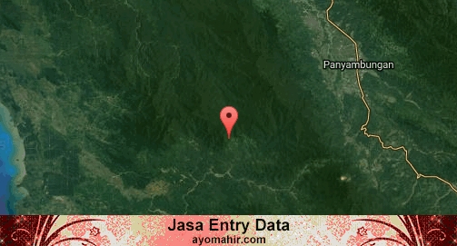 Jasa Entry Data Excel Murah Mandailing Natal