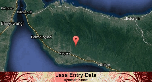 Jasa Entry Data Excel Murah Jembrana