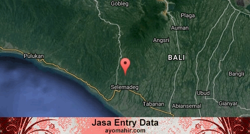 Jasa Entry Data Excel Murah Tabanan