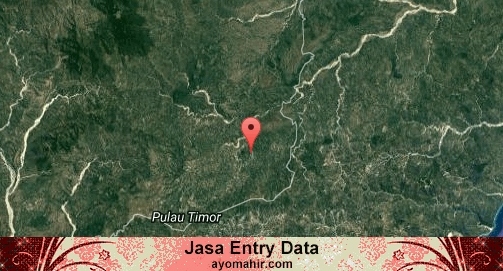 Jasa Entry Data Excel Murah Timor Tengah Selatan
