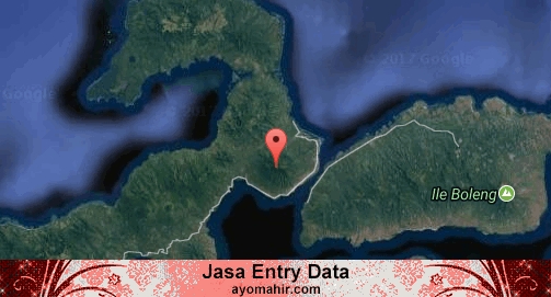 Jasa Entry Data Excel Murah Flores Timur