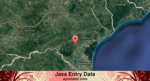 Jasa Entry Data Excel Murah Malaka