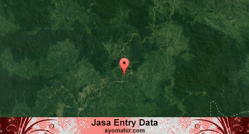 Jasa Entry Data Excel Murah Melawi