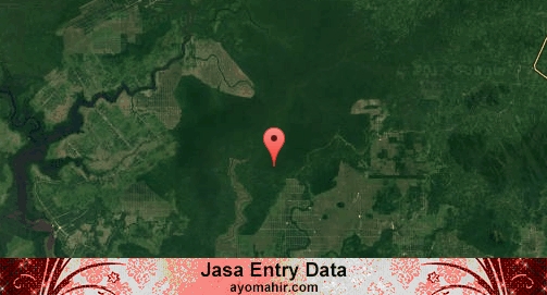 Jasa Entry Data Excel Murah Kayong Utara