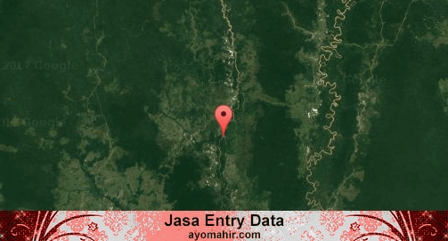 Jasa Entry Data Excel Murah Kapuas