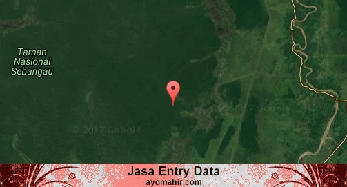 Jasa Entry Data Excel Murah Pulang Pisau