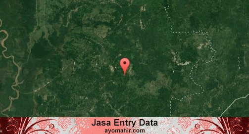 Jasa Entry Data Excel Murah Barito Timur