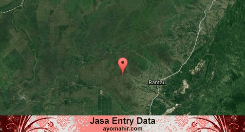 Jasa Entry Data Excel Murah Tapin