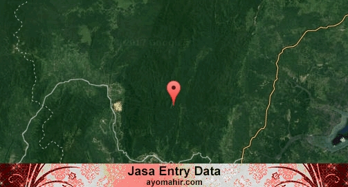 Jasa Entry Data Excel Murah Paser