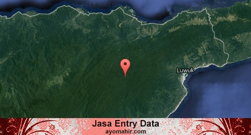 Jasa Entry Data Excel Murah Banggai
