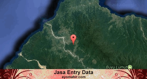 Jasa Entry Data Excel Murah Tojo Una-una