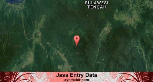 Jasa Entry Data Excel Murah Morowali Utara