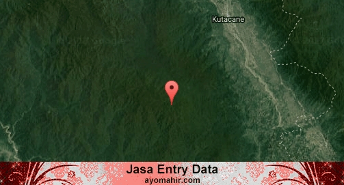 Jasa Entry Data Excel Murah Aceh Tenggara