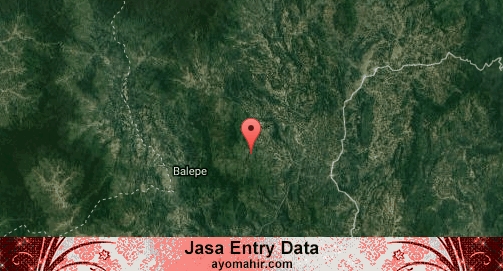 Jasa Entry Data Excel Murah Tana Toraja