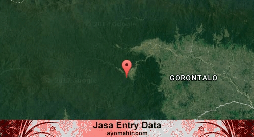 Jasa Entry Data Excel Murah Boalemo