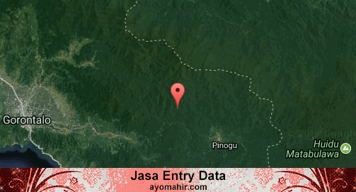 Jasa Entry Data Excel Murah Bone Bolango