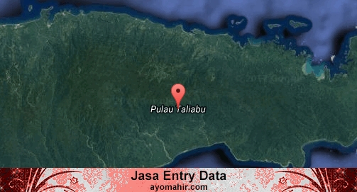 Jasa Entry Data Excel Murah Pulau Taliabu