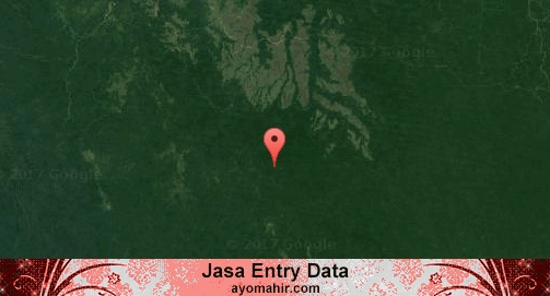 Jasa Entry Data Excel Murah Fakfak