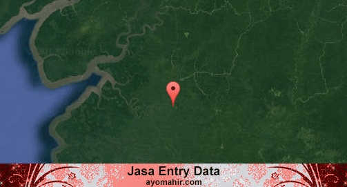 Jasa Entry Data Excel Murah Sorong Selatan