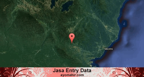 Jasa Entry Data Excel Murah Manokwari Selatan