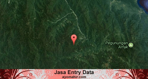 Jasa Entry Data Excel Murah Pegunungan Arfak