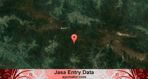Jasa Entry Data Excel Murah Jayawijaya