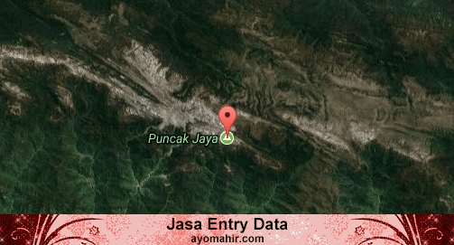Jasa Entry Data Excel Murah Puncak Jaya