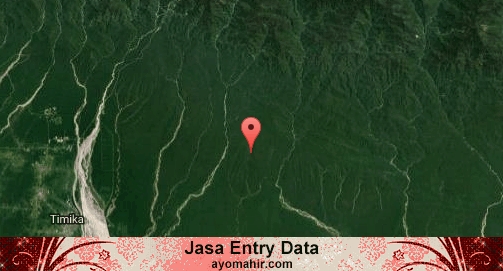 Jasa Entry Data Excel Murah Mimika