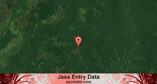 Jasa Entry Data Excel Murah Mappi