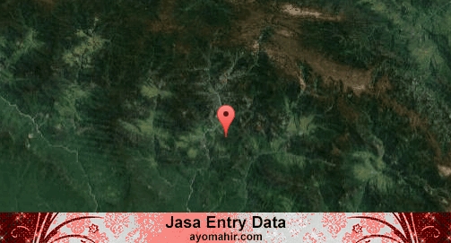 Jasa Entry Data Excel Murah Yahukimo