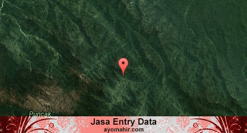 Jasa Entry Data Excel Murah Pegunungan Bintang
