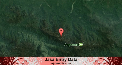 Jasa Entry Data Excel Murah Tolikara