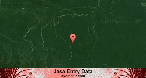 Jasa Entry Data Excel Murah Sarmi