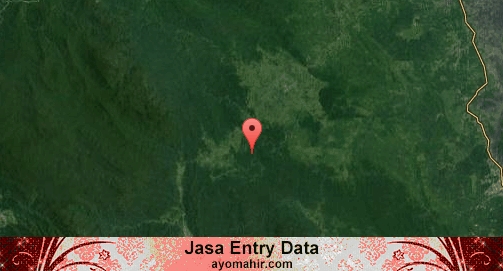 Jasa Entry Data Excel Murah Aceh Timur