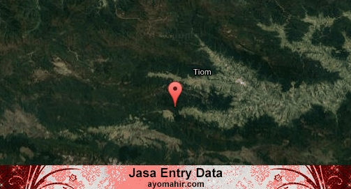 Jasa Entry Data Excel Murah Lanny Jaya